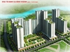 Bán đất nền dự án KDC Ninh Giang phường Cát Lái Quận 2 | 2